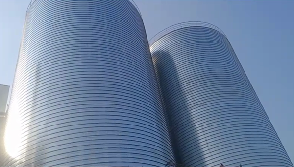 祁阳2座混凝土高架卷板仓